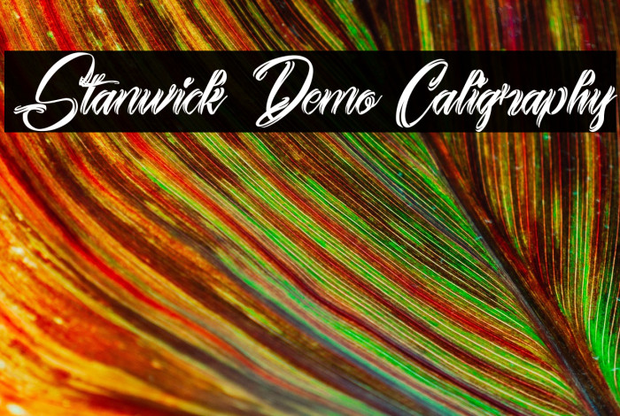 Stanwick Demo Caligraphy Example 1