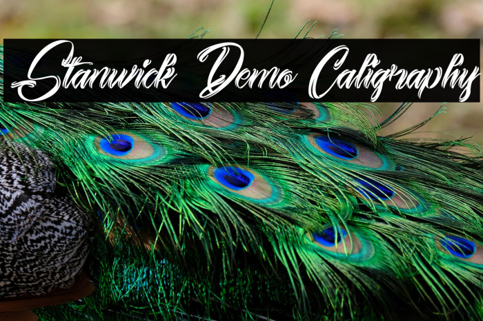 Stanwick Demo Caligraphy Example 2