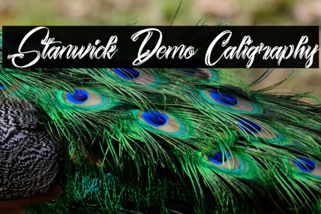 Stanwick Demo Caligraphy Example 2
