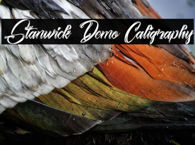 Stanwick Demo Caligraphy Example 3