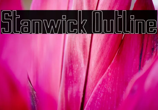 Stanwick Outline Example 1