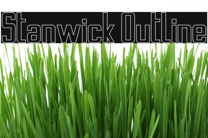 Stanwick Outline Font examples