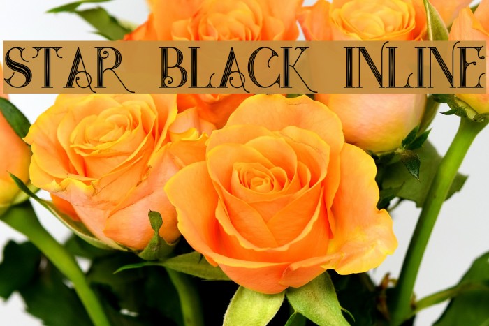 Star Black Inline Example 2