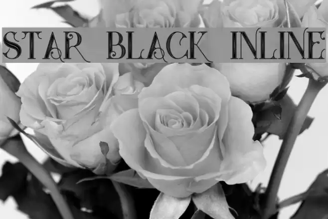 Star Black Inline Font examples