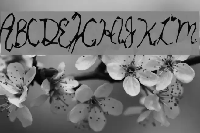 Star Cat Font examples