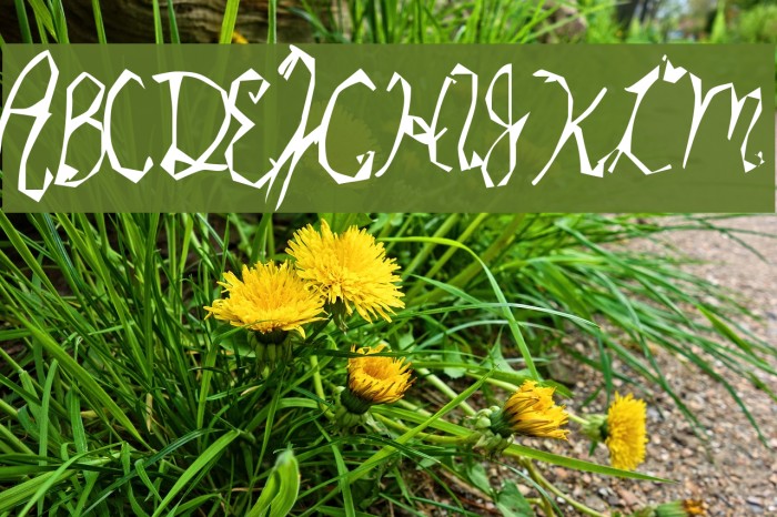 Star Cat Font examples