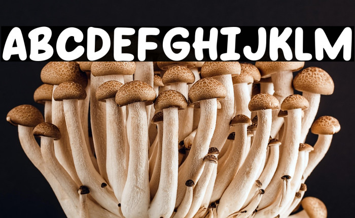 Star Choco Example 1