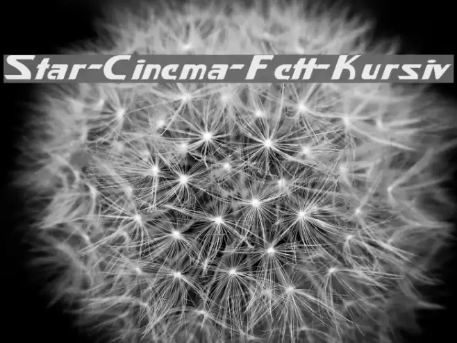 Star-Cinema-Fett-Kursiv Font examples