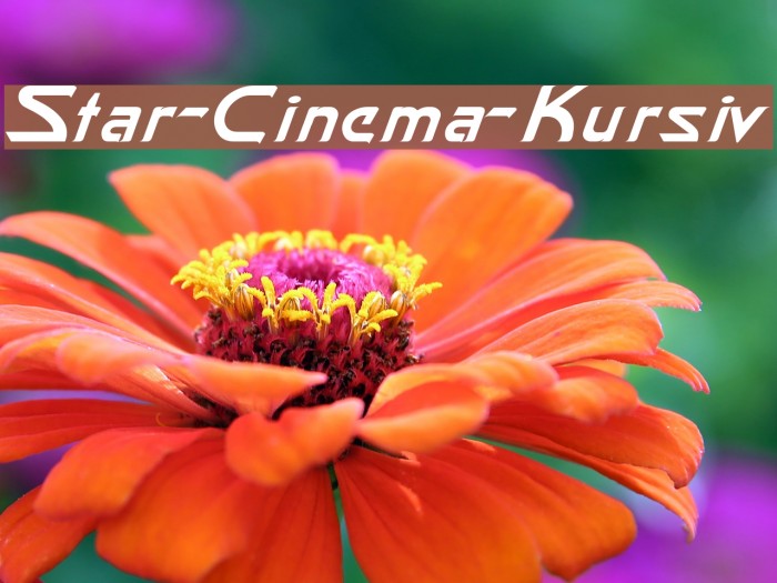 Star-Cinema-Kursiv Example 2