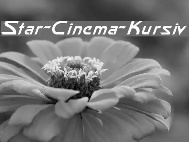 Star-Cinema-Kursiv Font examples