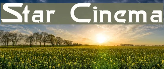 Star Cinema Example 2
