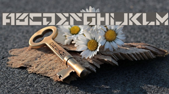 Star Doors Font examples