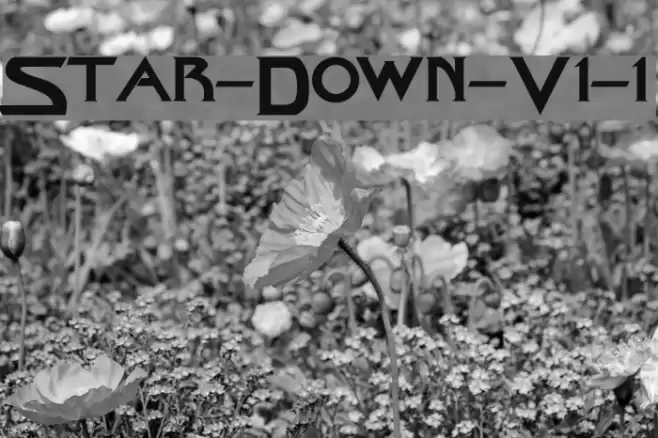 Star-Down-V1-1 Font examples