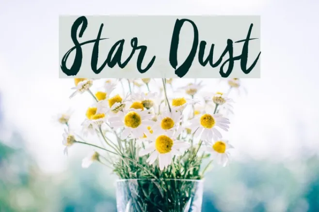 Star Dust Example 1