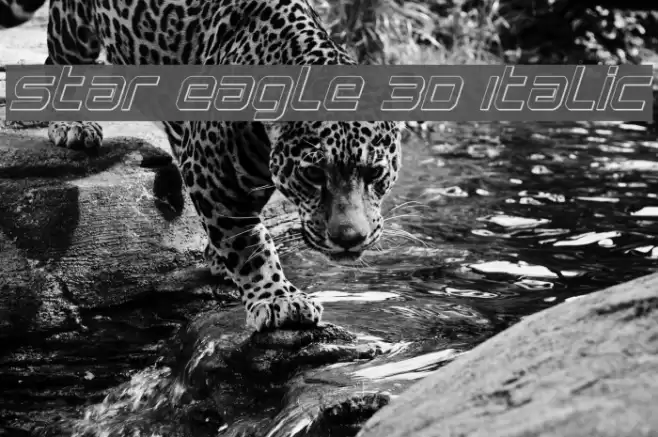 Star Eagle 3D Italic Font examples