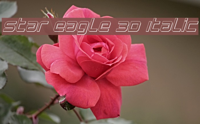 Star Eagle 3D Italic Caratteri examples