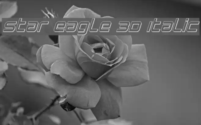 Star Eagle 3D Italic Font examples