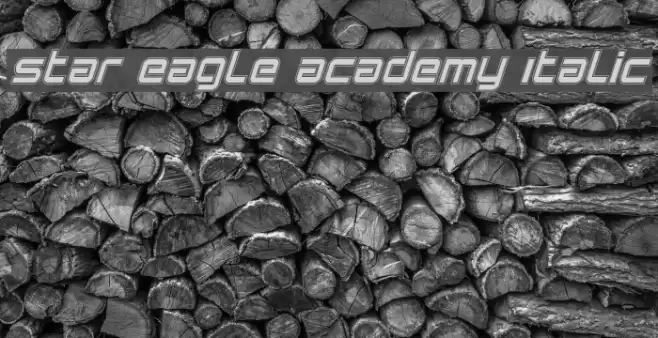 Star Eagle Academy Italic Font examples