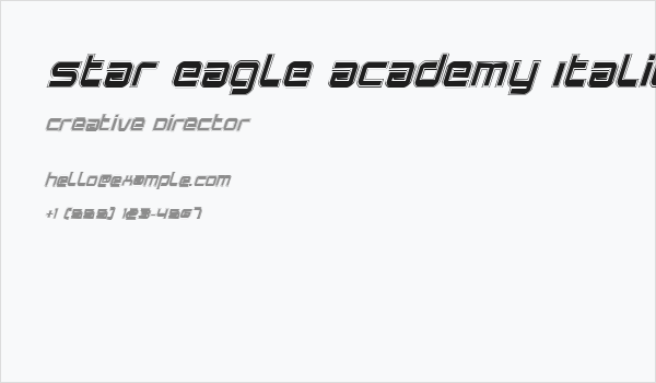 Star Eagle Academy Italic Business Card