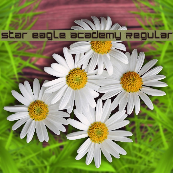 Star Eagle Academy Regular Font examples