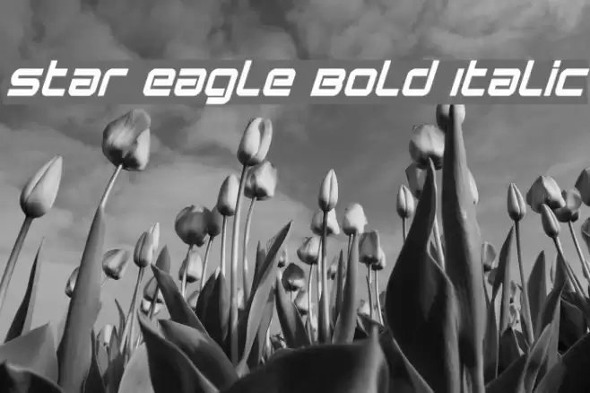 Star Eagle Bold Italic Font examples