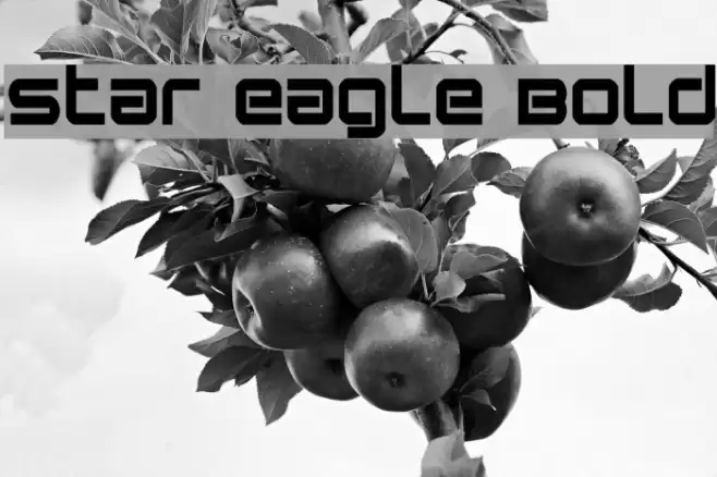 Star Eagle Bold Font examples
