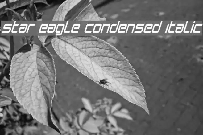 Star Eagle Condensed Italic Font examples
