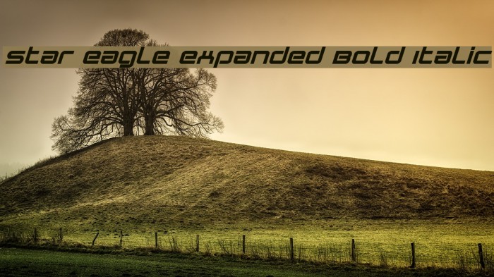 Star Eagle Expanded Bold Italic Шрифта examples
