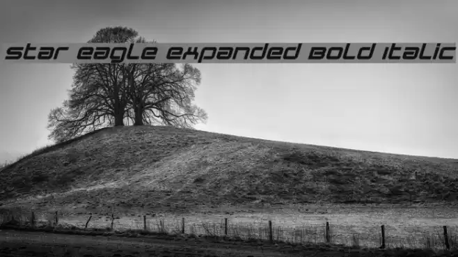 Star Eagle Expanded Bold Italic Font examples
