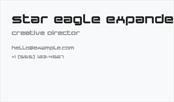 Star Eagle Expanded Bold Business Card