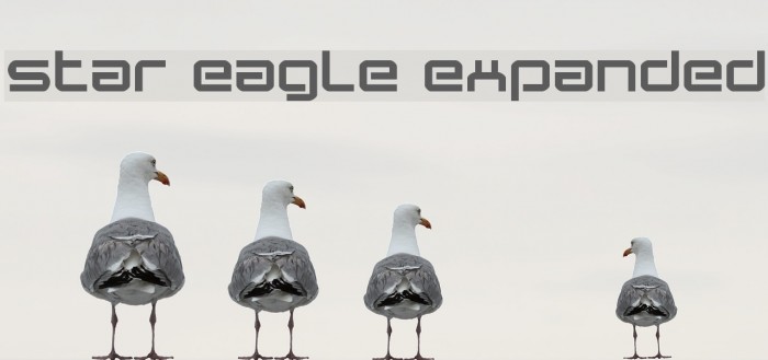 Star Eagle Expanded Font examples