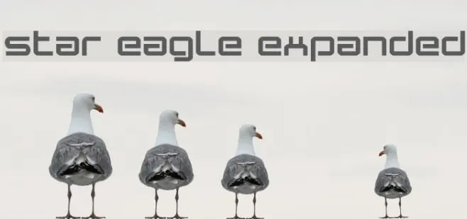 Star Eagle Expanded Example 1