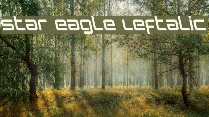 Star Eagle Leftalic Example 1