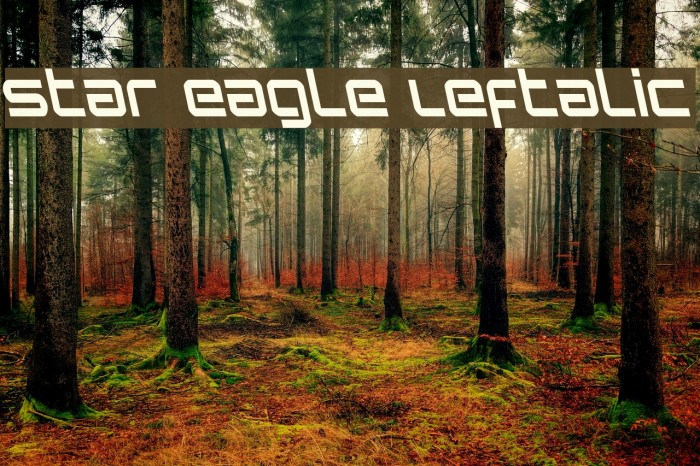 Star Eagle Leftalic Example 2