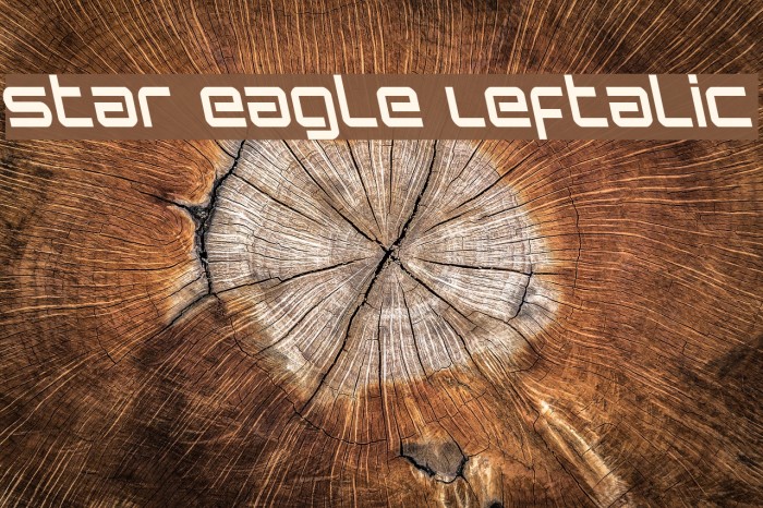 Star Eagle Leftalic Example 3