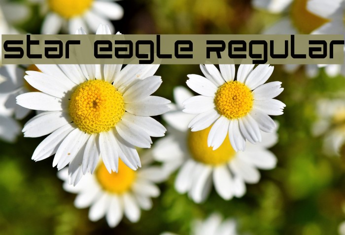 Star Eagle Regular Example 2