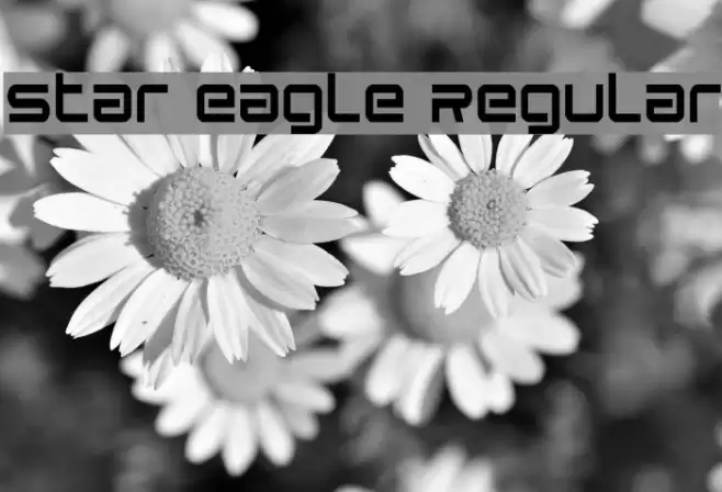 Star Eagle Regular Font examples
