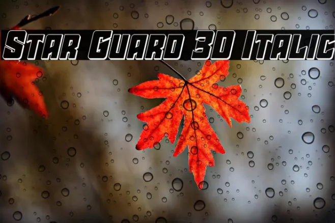 Star Guard 3D Italic Example 1