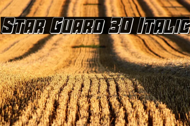 Star Guard 3D Italic Example 3