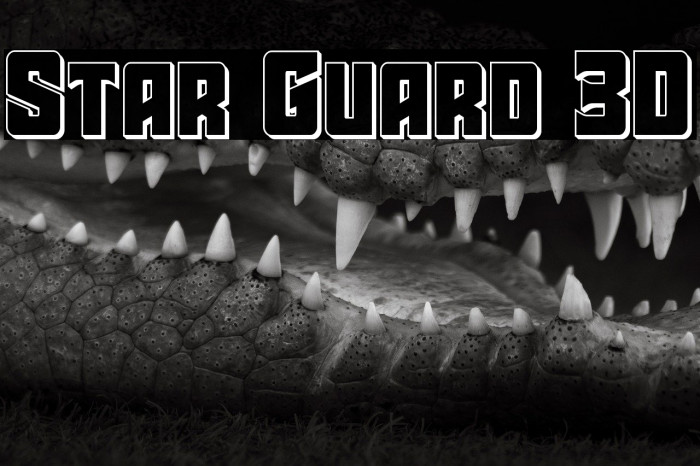Star Guard 3D Example 1