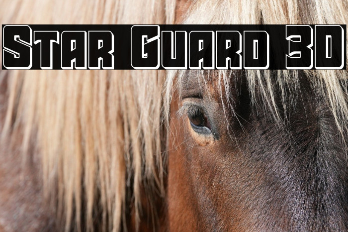 Star Guard 3D Example 3