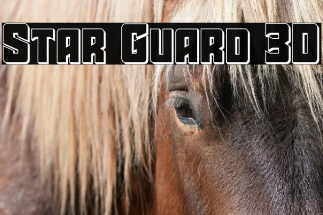 Star Guard 3D Example 3