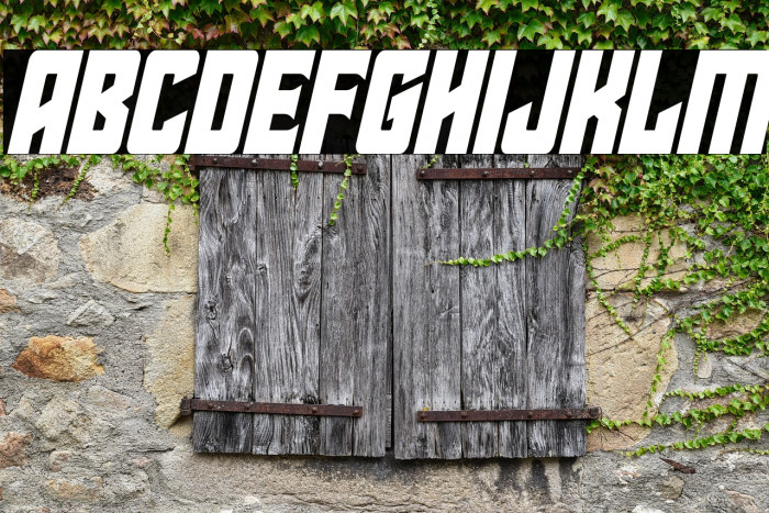 Star Guard Condensed Italic Example 1