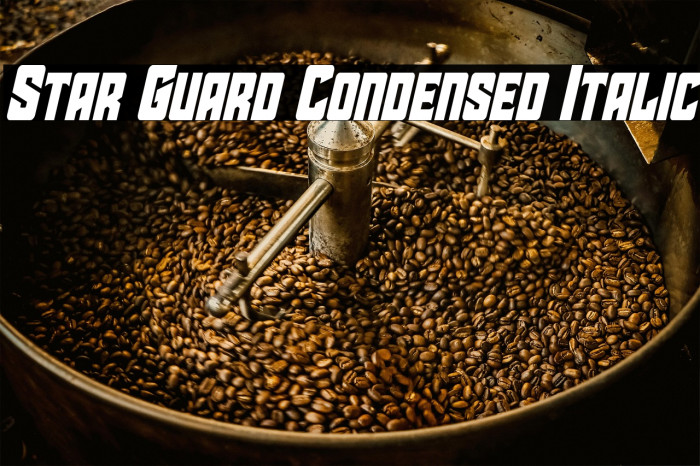 Star Guard Condensed Italic Example 2
