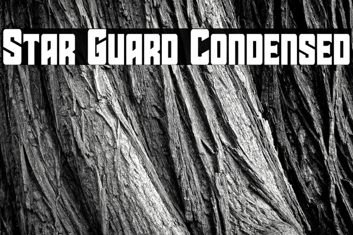 Star Guard Condensed Example 2