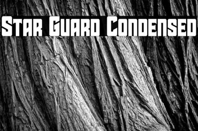Star Guard Condensed Font examples