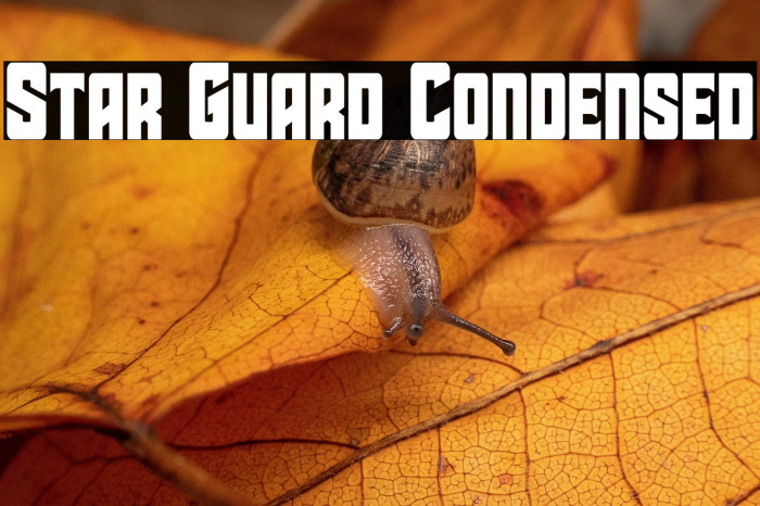 Star Guard Condensed Example 3
