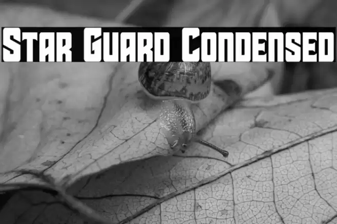 Star Guard Condensed Font examples