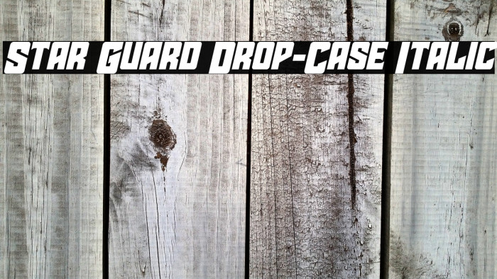 Star Guard Drop-Case Italic Example 1