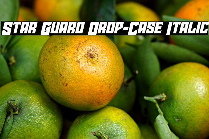 Star Guard Drop-Case Italic Example 3